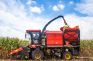 山西夏縣：早熟玉米喜收獲