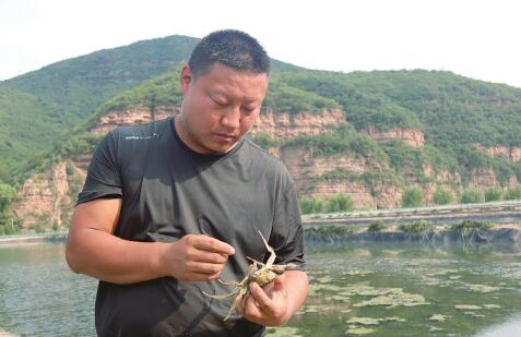 太行活水青蟹肥 清漳源頭鮮香溢左權(quán)縣麻田鎮(zhèn)下口村高山冷水蟹養(yǎng)殖基地里，43個(gè)養(yǎng)殖池泛著粼粼波光，增氧機(jī)攪動(dòng)的水聲此起彼伏。